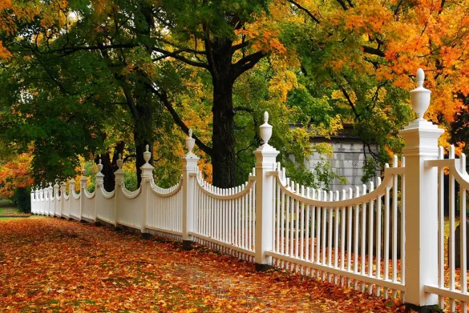 Reliable Wood Fencing Plantersville TX