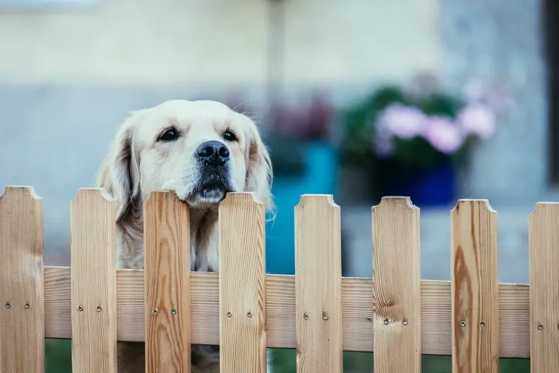 Top-rated Wood Fencing Plantersville TX